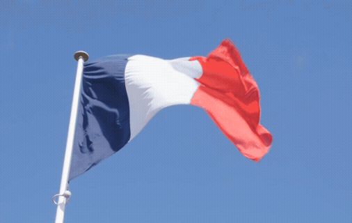 Cérémonie - Journée nationale d'hommage aux Harkis et autres formations supplétives