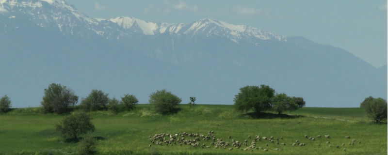 Soirée astrale #20 Été