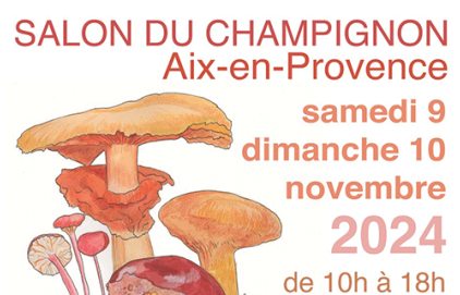 Salon du champignon 2024