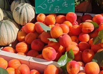 Tour du marché et terroir local