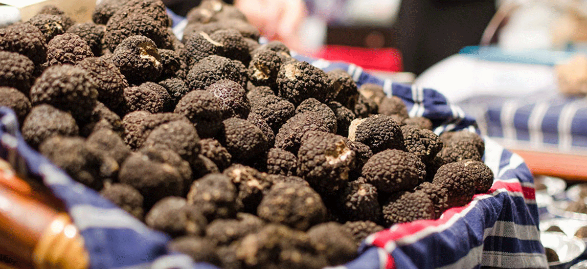 Appel à candidatures marché aux truffes 2024