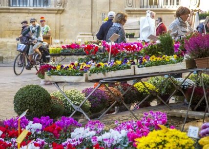 Le marché aux fleurs d'Aix-en-Provence