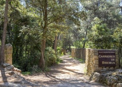 The Bibemus quarries and Cezanne