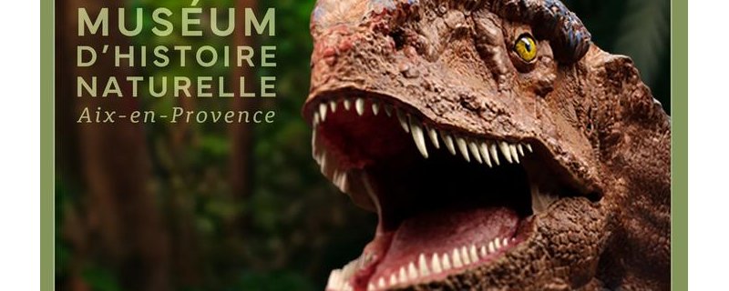 Ateliers pédagogiques du Muséum d'Histoire Naturelle - Vacances d'été