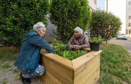 Des jardinières pour cultiver le lien social