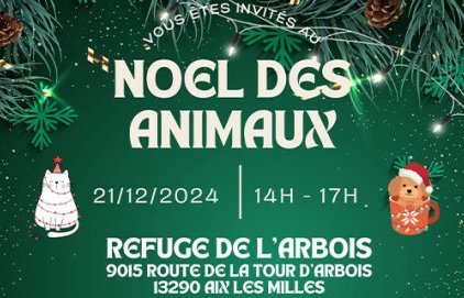 Noël des animaux