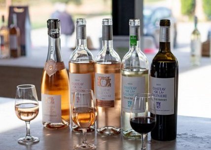 Château de la Galinière - Immersion vignes et vins