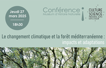 Conférence - Le changement climatique et la forêt méditerranéenne : Impacts (…)