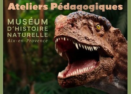 Ateliers pédagogiques du Muséum d'Histoire Naturelle - Vacances d'été