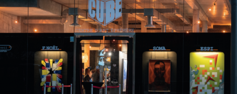 Dégustation de vins - The CUBE (centre d'art contemporain)