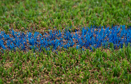 Nouveau synthétique à l'école Henri Wallon