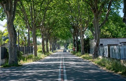 Un projet pour La Calade