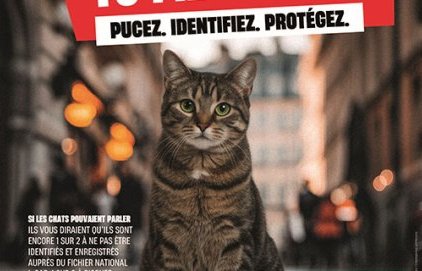 Semaine nationale de l'identification