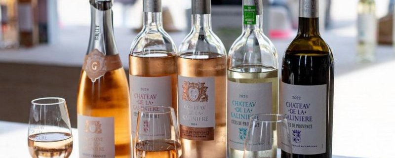 Château de la Galinière - Immersion vignes et vins