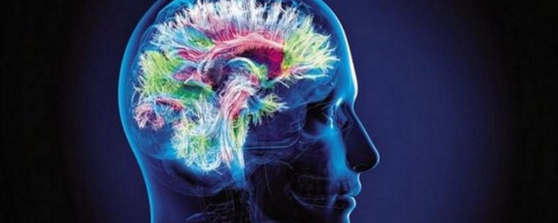 Cerveau : perception, action, apprentissage et mémoire Que savons-nous du fonctionnement du cerveau et de son rôle dans le corps ?