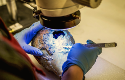 Etudes des collections archéologiques