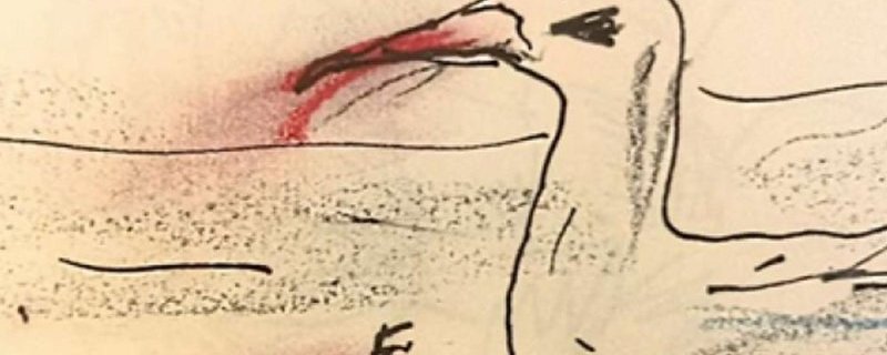 Théâtre : Je suis une mouette