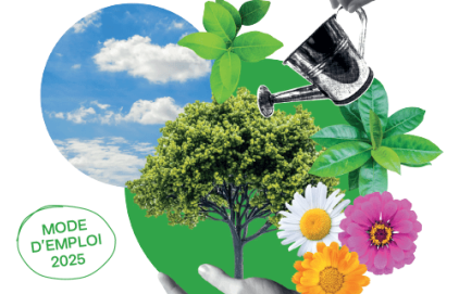 Vers un jardin durable et résilient : le guide pratique des aixois