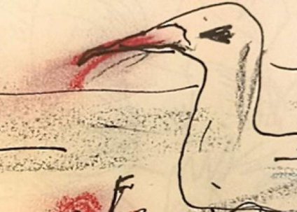 Théâtre : Je suis une mouette