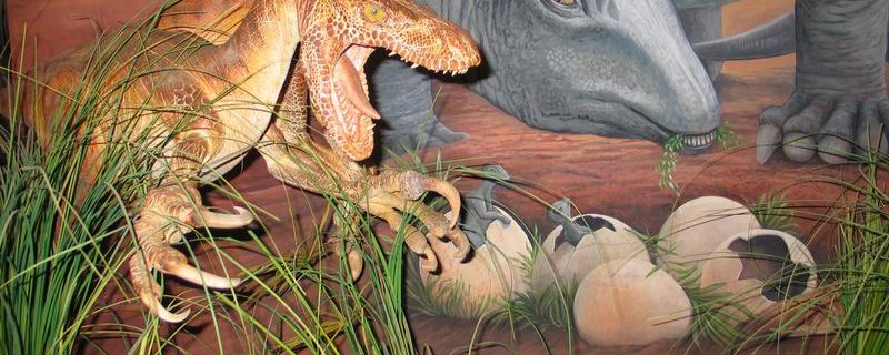 Exposition : Dinosaures de Provence