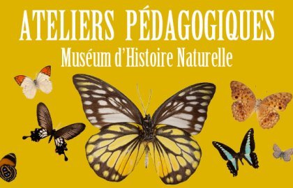 Ateliers pédagogiques du Muséum d'Histoire Naturelle