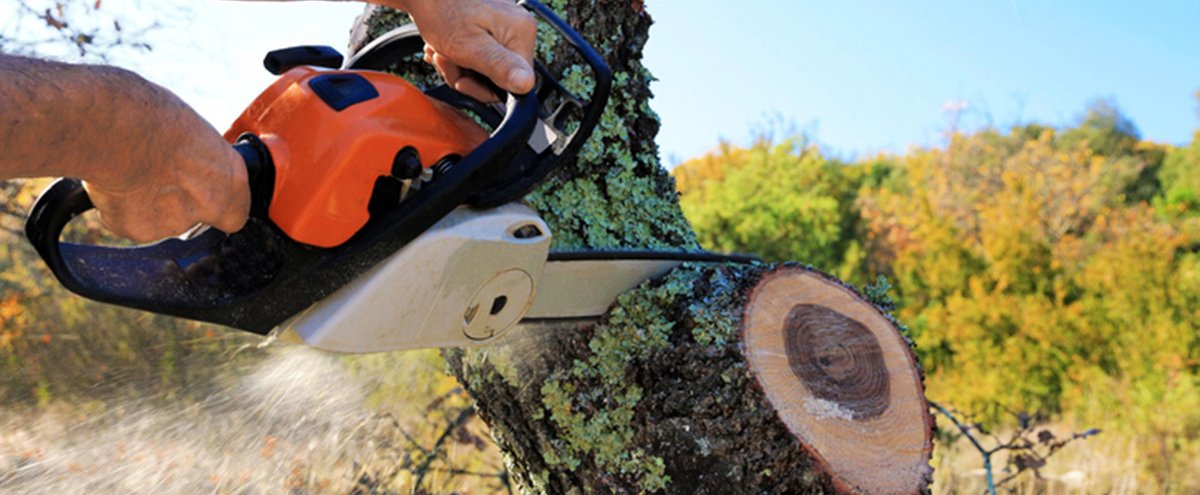 Réunion d'information sur les obligations légales de débroussaillement - Risque Incendie à Puyricard