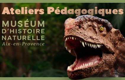 Ateliers pédagogiques du Muséum d'Histoire Naturelle - Vacances&nbsp;(…)