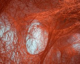 The Network 2024. Chiharu Shiota. Musée des Tapisseries © Labo photo Ville (...)