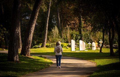 Le cimetière du Grand Saint-Jean : paradis vert