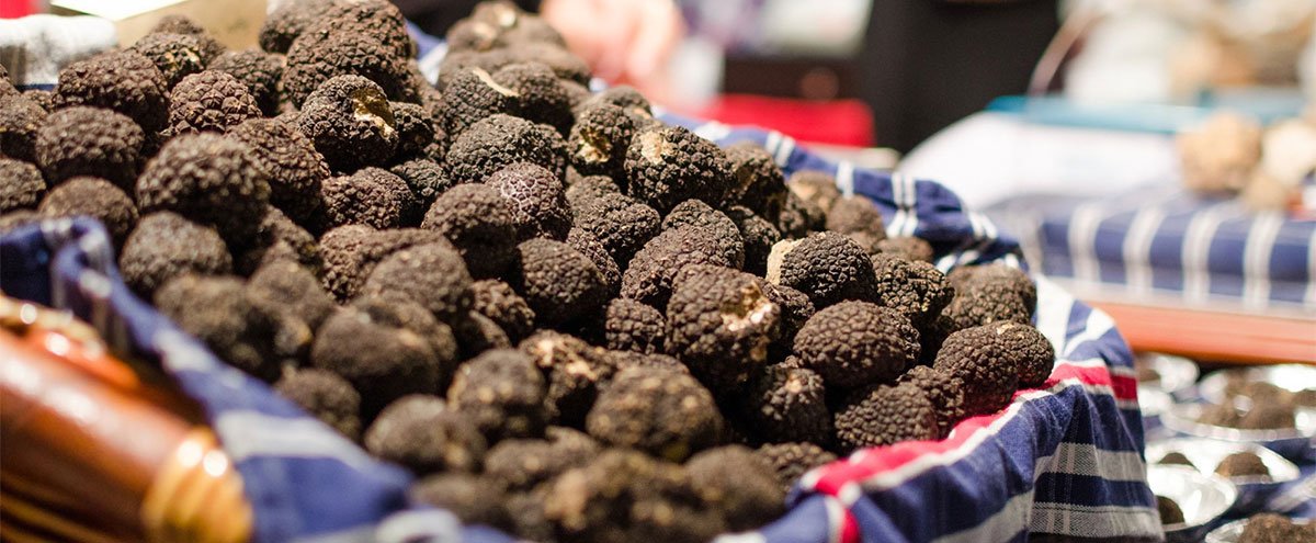 Appel à candidatures marché aux truffes 2025