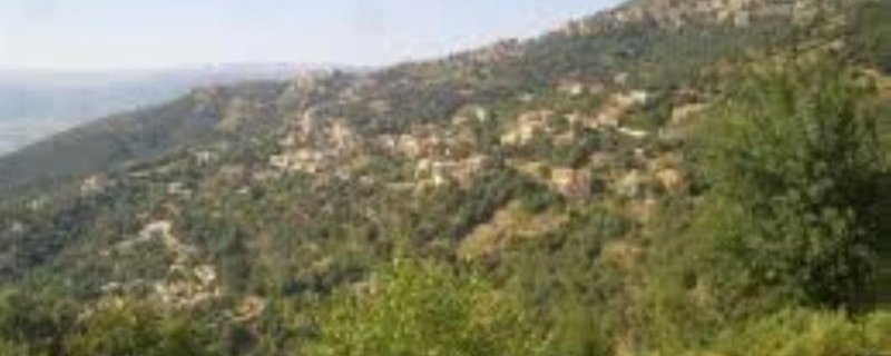 Conférence : Vie à vie Feraoun et Giono