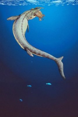 Mosasaures, quand les lézards régnaient sur les mers