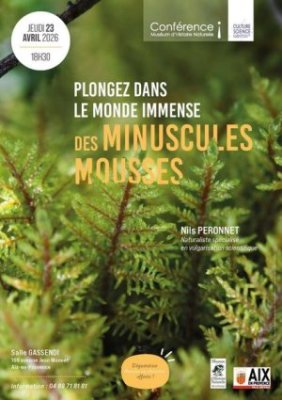 Conférence : Plongez dans le monde immense des minuscules mousses