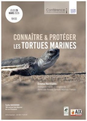 Conférence : Connaître et protéger les tortues marines