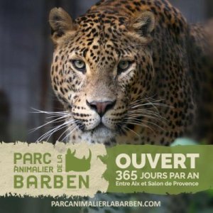 Une Journée au parc animalier de La Barben