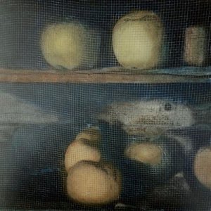 "Est-ce qu'une pomme, ça bouge"