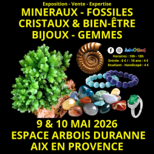 Salon Minéraux Fossiles Cristaux & Bien-Être Bijoux et Gemmes d'Aix en Provence + Exposition l'Histoire de nos Ancêtres