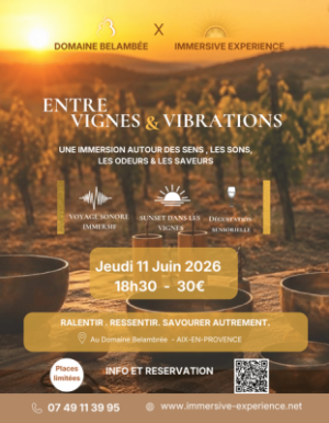 Expérience Immersive Entre Vigne & Vibrations