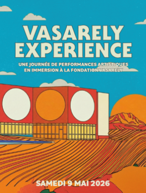 Vasarely Expérience
